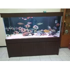 aquarium & Accessories for arowana and predator fish 3