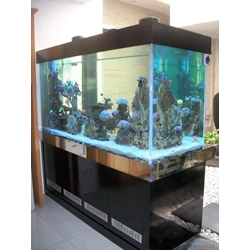 aquarium surabaya